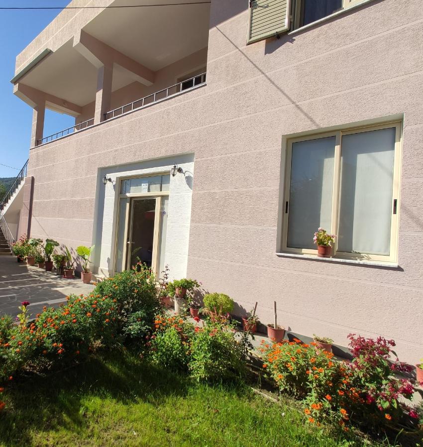 Olive B&B Berat Exterior photo