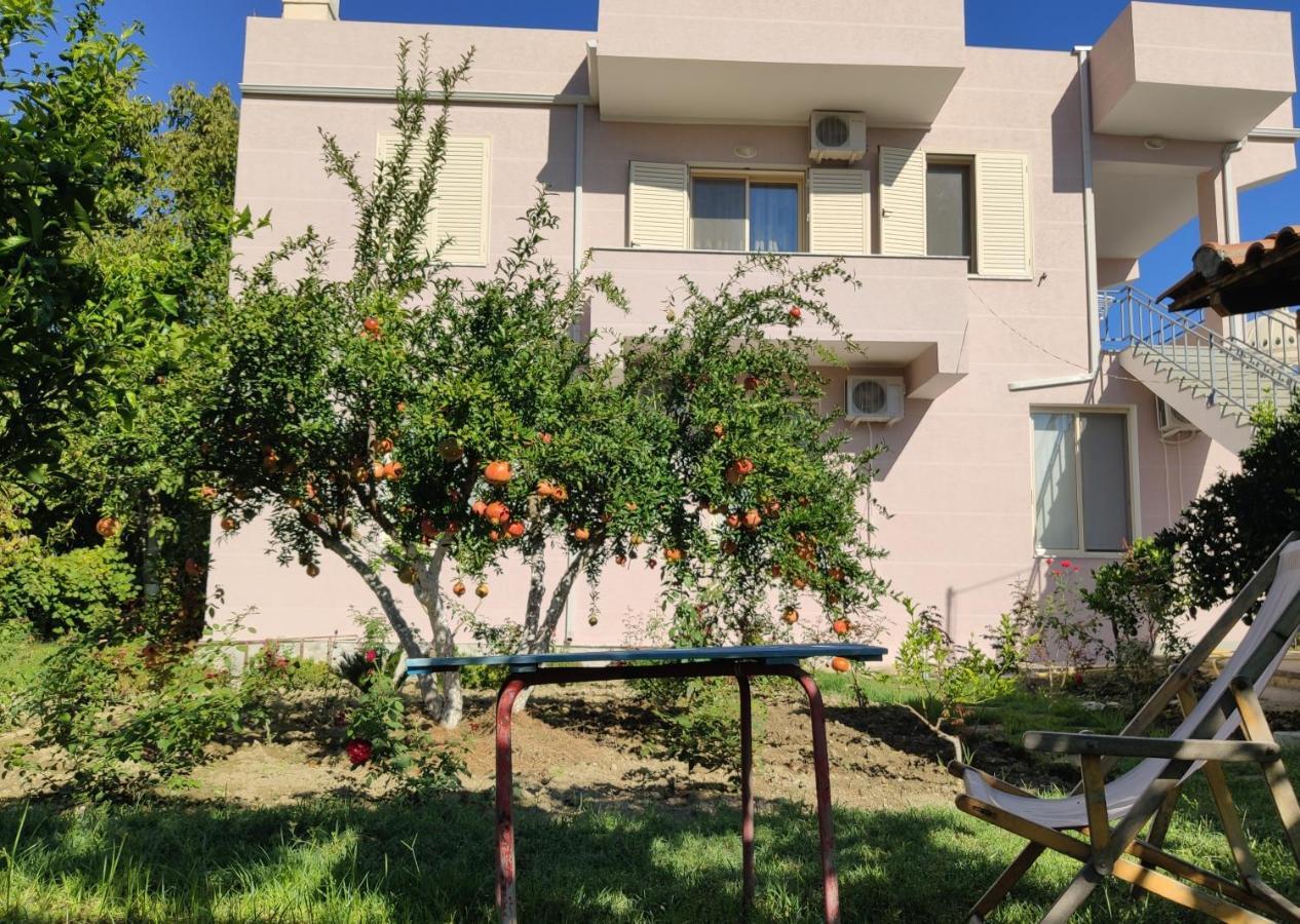 Olive B&B Berat Exterior photo