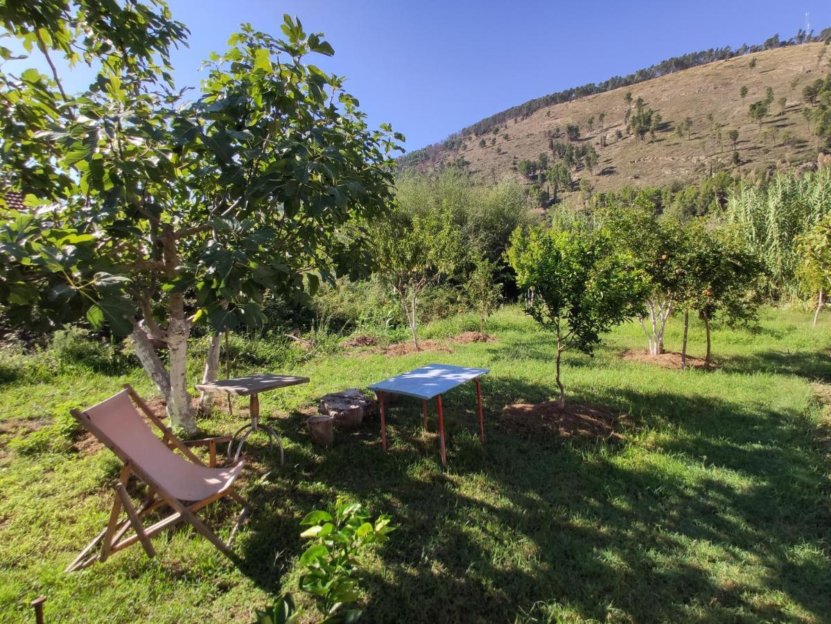 Olive B&B Berat Exterior photo