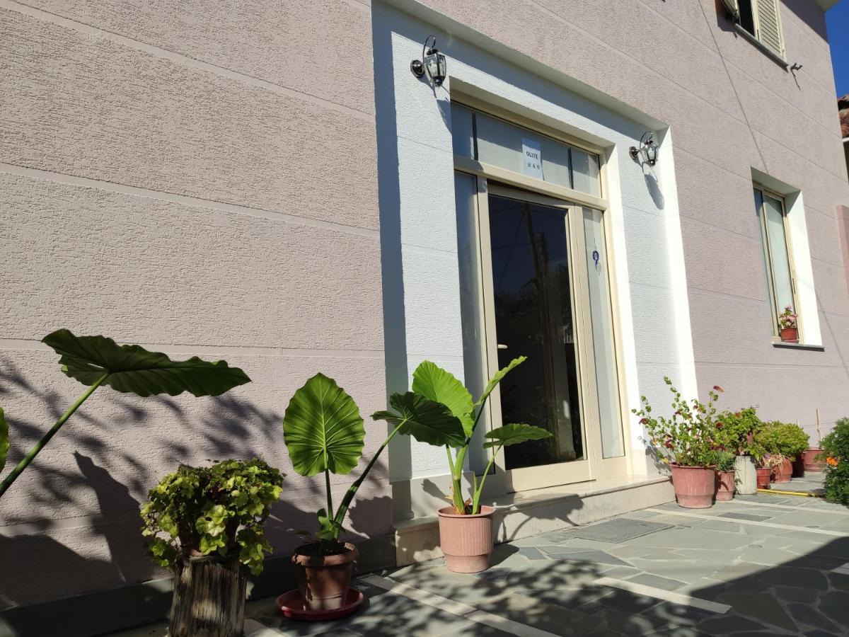 Olive B&B Berat Exterior photo